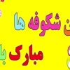 بنر جشن شکوفه ها 2 متری