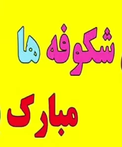 بنر جشن شکوفه ها 2 متری
