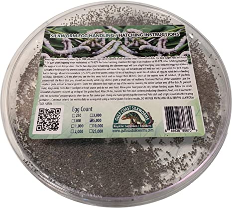 تخم کرم ابریشم - Image 4